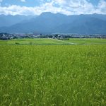 Có nên XKLĐ ngành nông nghiệp Nhật Bản không?
